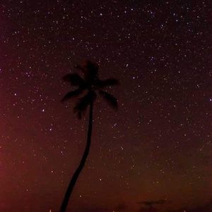 Meet your Posher, Glenda